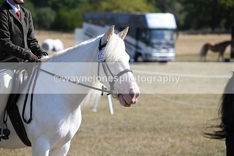 WJ6_7636 - Class 34 Judges Choice