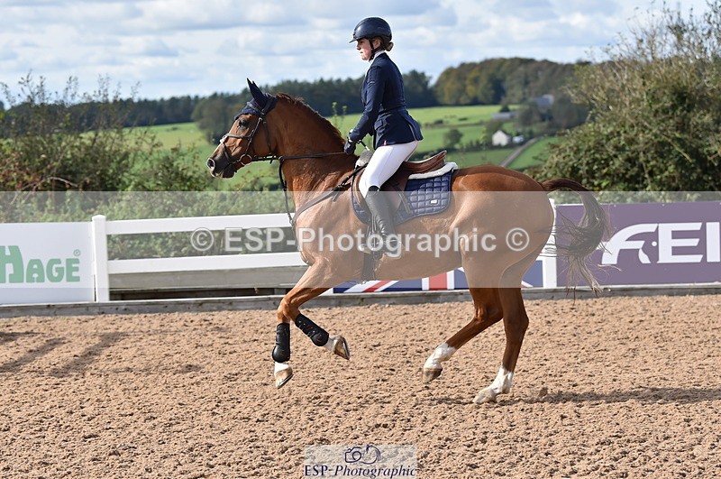 231015A-131950-08296 - Cls 25 95cm Amateur Q 2nd R