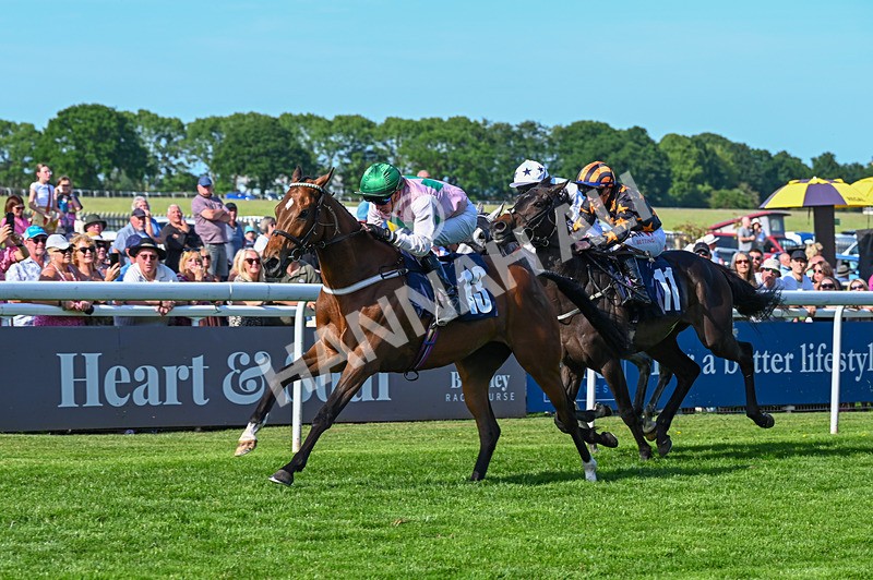 300526-Race 7-Anificas Beauty-7173 - Race 7 17.08pm Platinum Queen Play Live After Racing Handicap