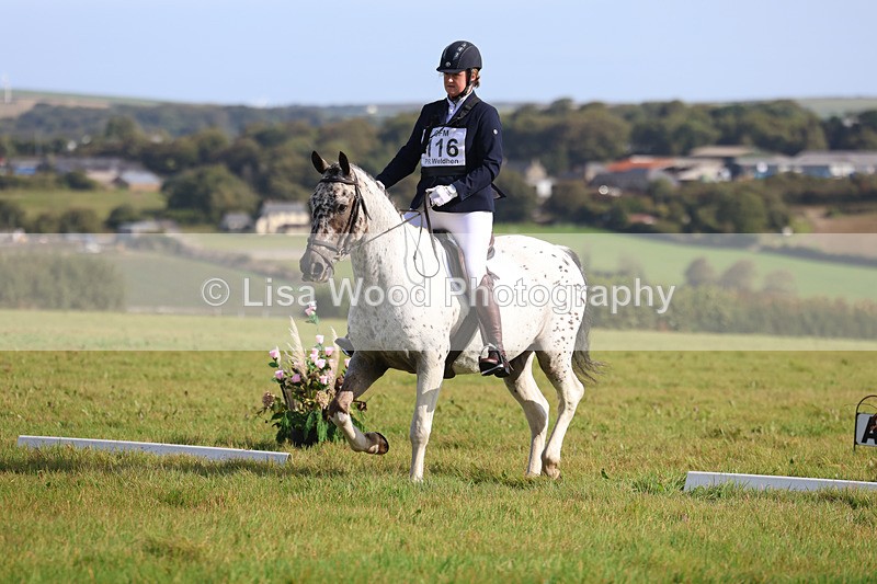 3E7A5996 - Class 1: Trebudannon Open: Dressage (Part 2)