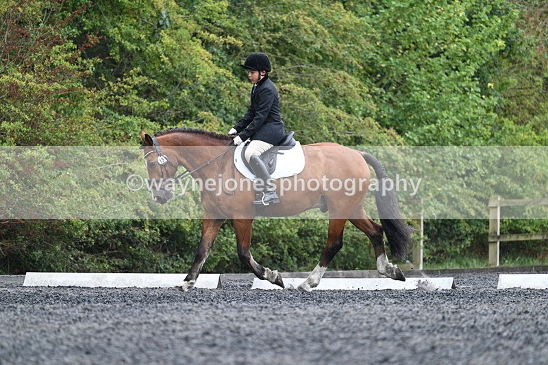 WJ7_6127 - Time 11:38 to 12:03