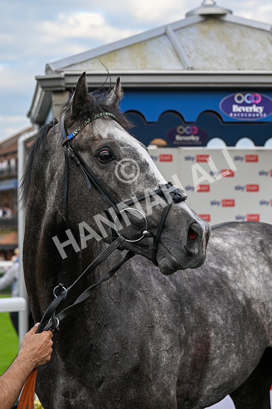 220724-Race 3-Gressington-1626 - Race 3