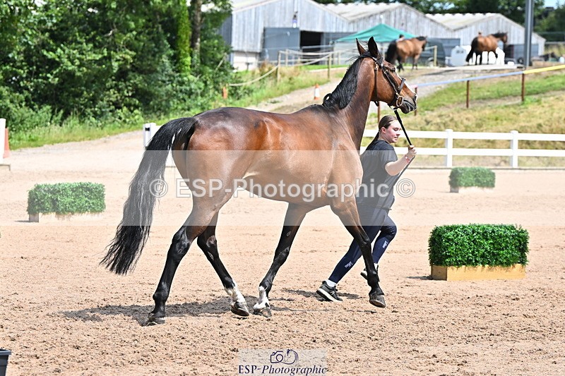240718A-105256-01357 - Trot Up 12pm to 1pm