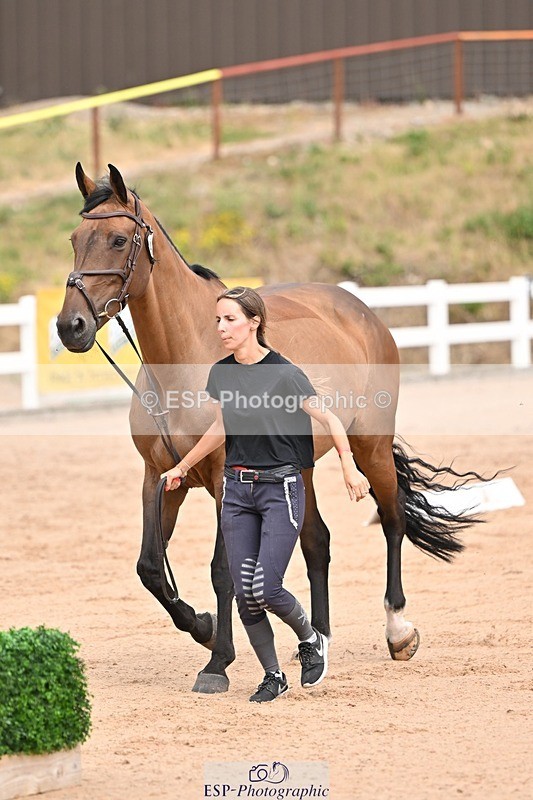 250716-150732-01657 - Trot Up 2.30 to 3.30