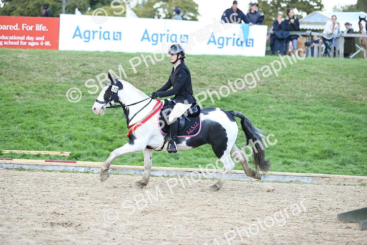 SBM_54458 - Supreme Championship 70cm 75cm