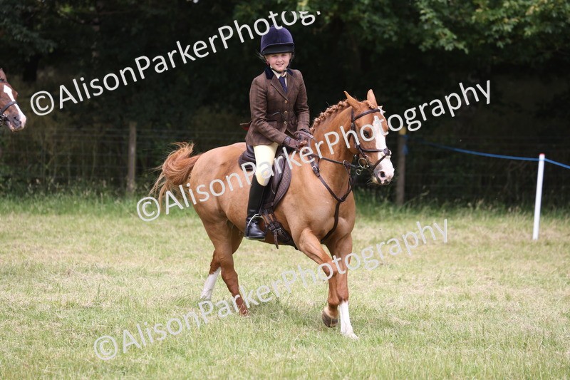 20260614-3224 - Class 22 - Open Working Hunter