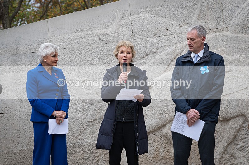 Z62_4565 - Animals In War Memorial 2025 - Park Lane, London