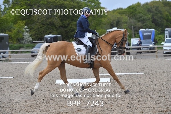BPP_7243 - 3 D HARRISON