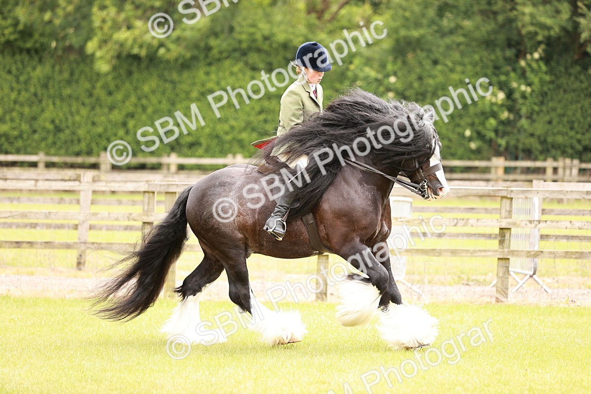 SBM_06227 - Class 39-41 TGCA In Hand and Ridden