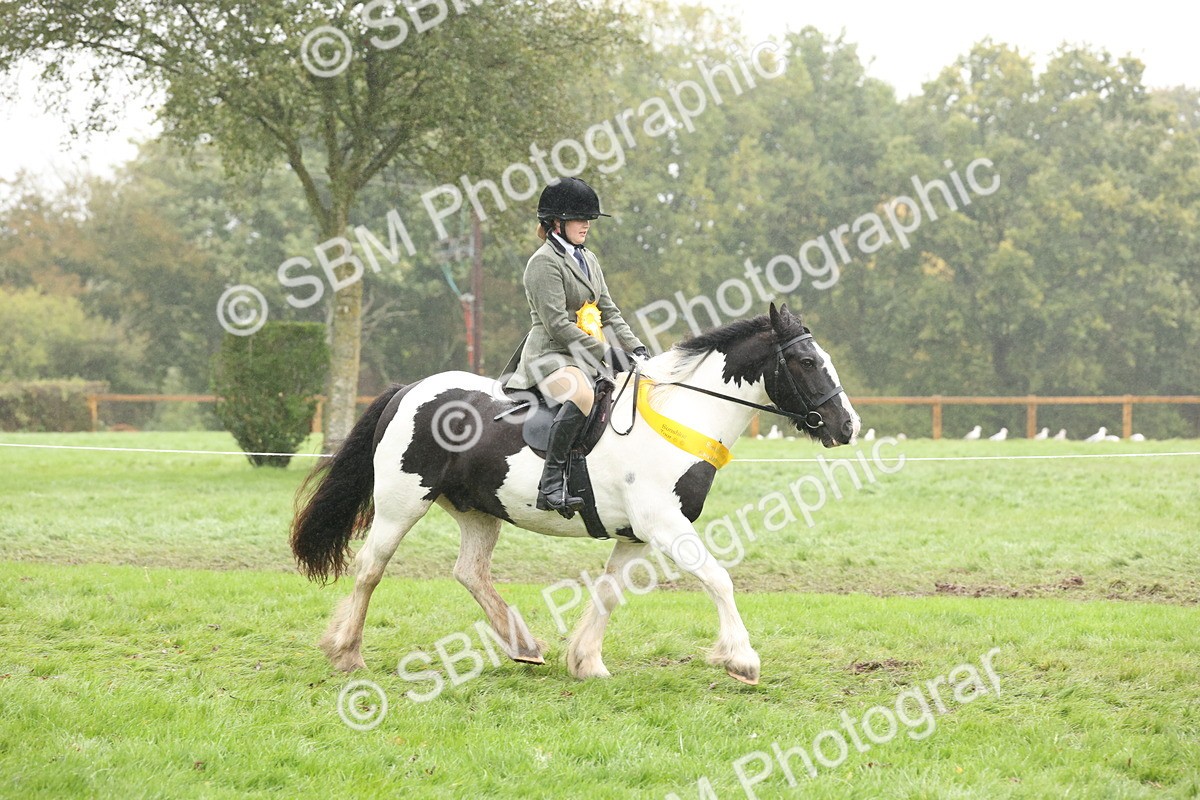 SBM_72923 - Ridden Horse Supreme Championship