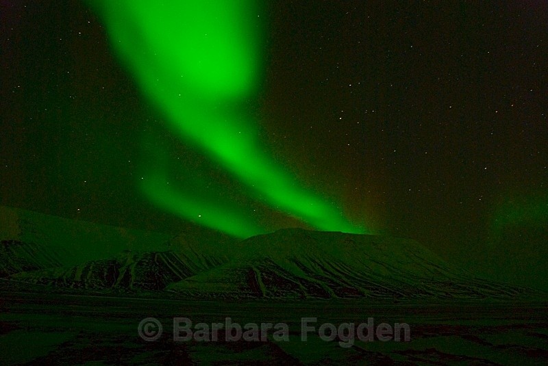 Northern Light in Adventdalen 0040 - Polar night