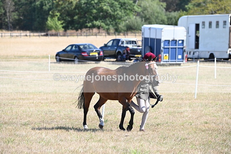 WJ6_4719 - Class 17 Mountain & Moorland
