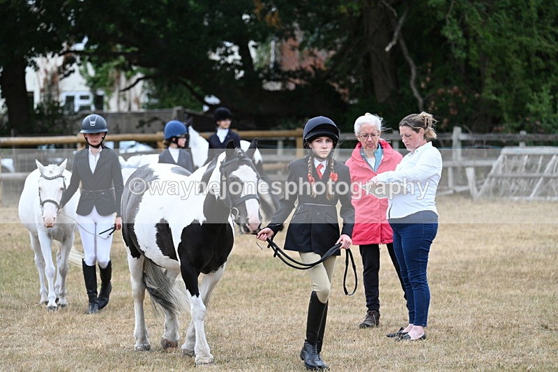 WJ7_8064 - Class 4 Prettiest Mare up to 14.2hh