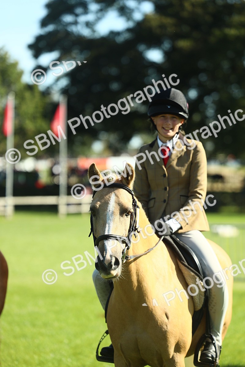 SBM_39049 - S29 - Novice & Newcomers Working Hunter Pony