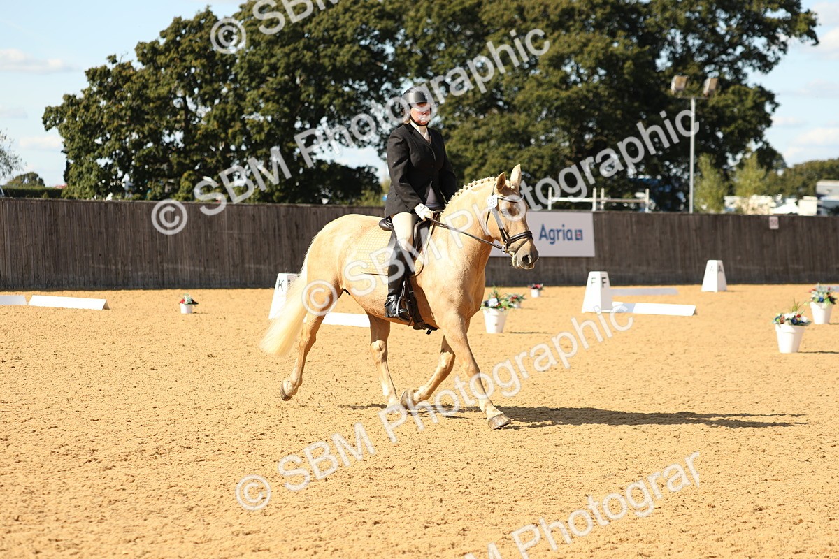 SBM_24551 - D17 - Grand Tour Championship - Novice 27