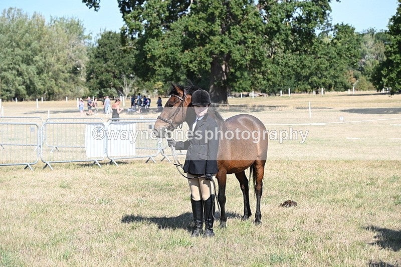 WJ6_7602 - Class 34 Judges Choice