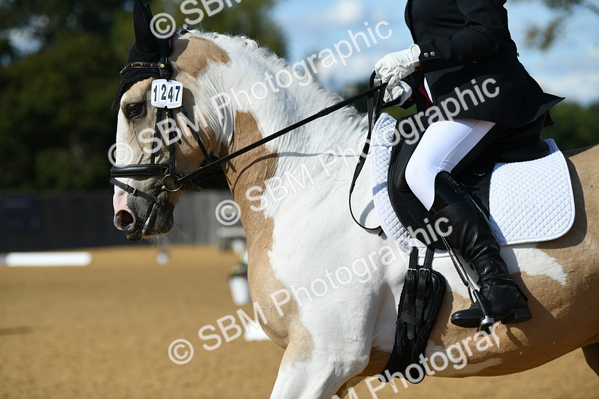 SBM_25141 - D13 - Grand Tour Championship - Prelim 12