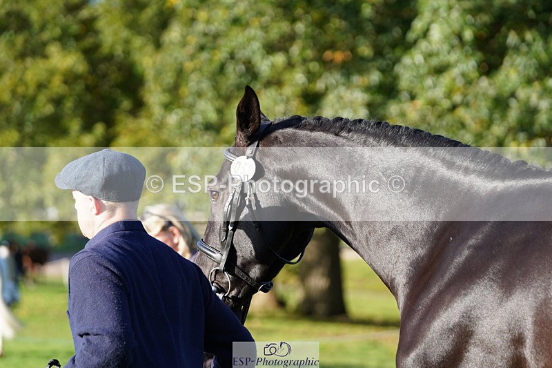 241026-100652-11621 - 058-Jack.Ashworth-TIMEPEICE.BLUE