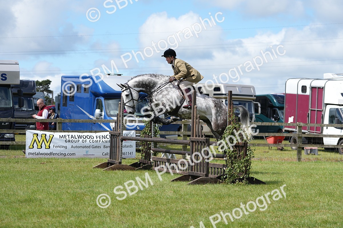 SBM_14844 - Class 100-102 - RIHS Working Hunter