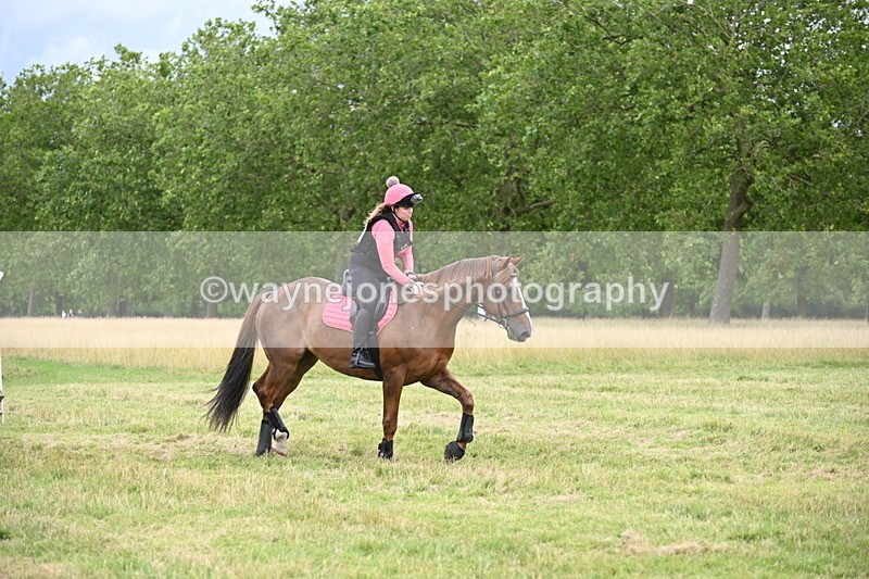 WJ6_3447 - Time at Jump 11:41 to 12:19