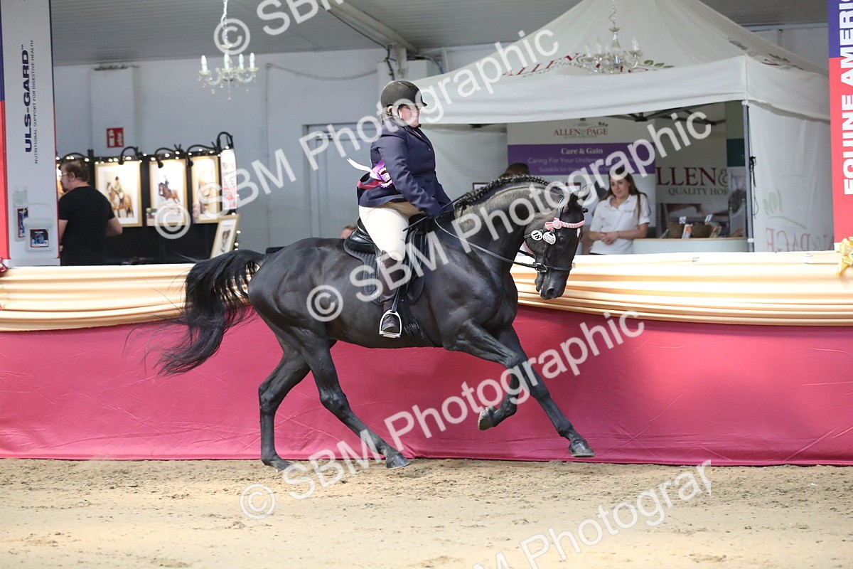 SBM_03012 - Class 6a Area Ridden Pre Vet