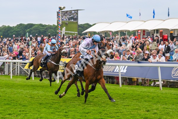 250524-Race 4-Term Of Endearment-3602 - Race 4 3.20pm William Hill Bronte Cup Fillies' Stakes