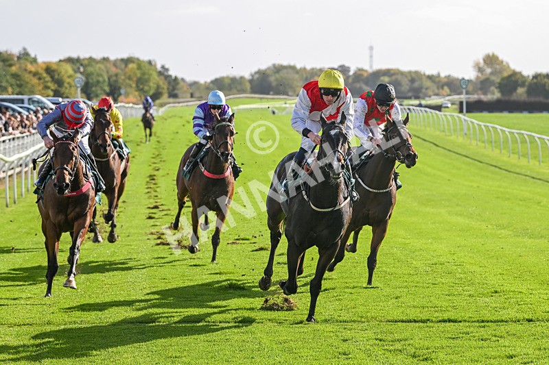 191024-Race 1-Obligatory-3811 - Race 1