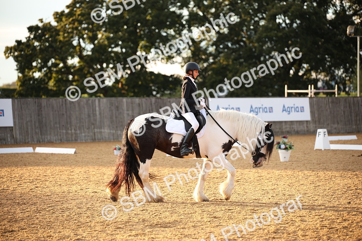 SBM_13330 - D3 Small  Tour Championship Intro A
