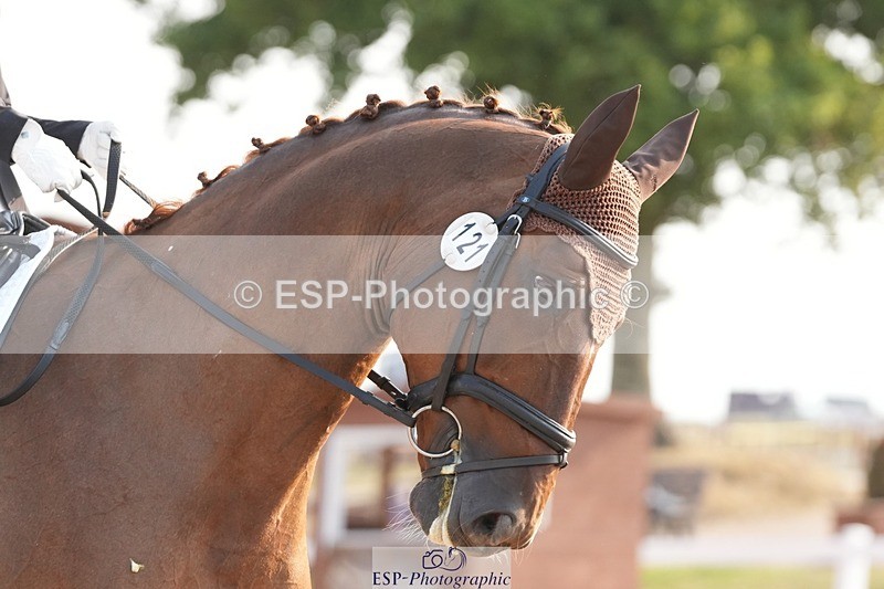 250817-090458-07089 - 121-Daisy.HedgesFelicia.v