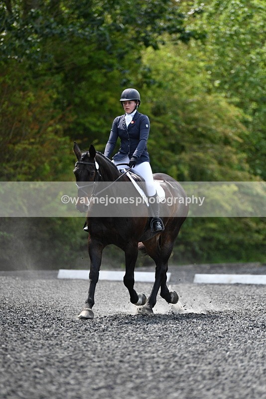 WJ5_0084 - Time 11:47 to 12:21