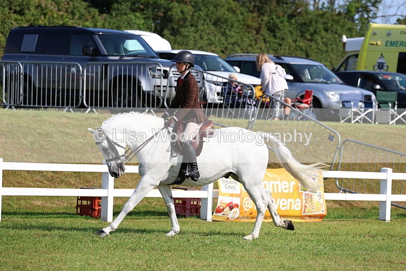 3E7A8632 - Class 3: Rising Star S/L Hunter