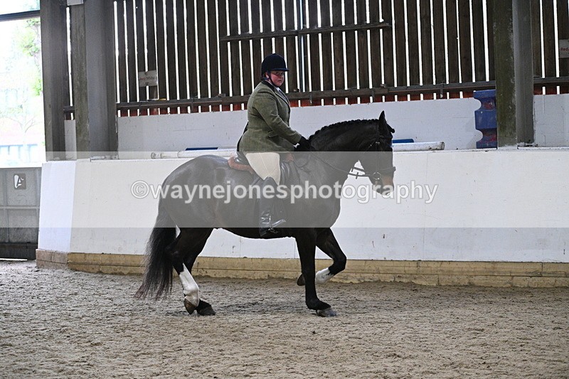 WJ7_3903 - Class 17 Ridden Cob