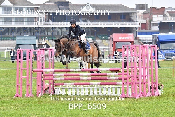 BPP_6509 - CLASS 1 Senior Newcomers/ 1.10m Open