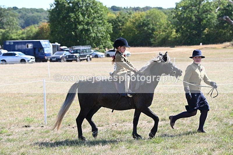 WJ6_7791 - Class 36 Lead Rein