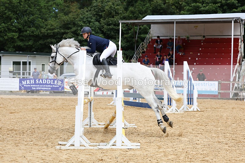 3E7A0103 - Class 9: Senior British Novice/90cm open