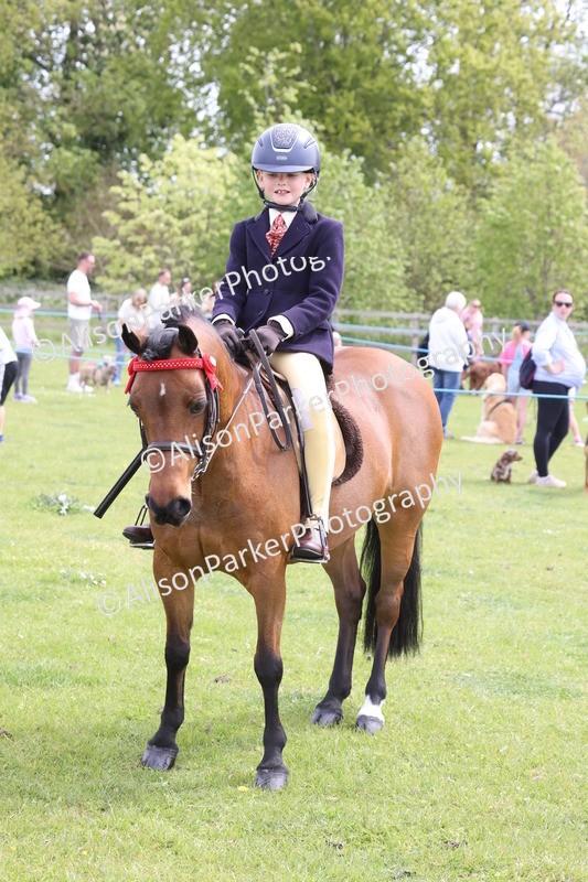 20260426-3059 - Class 33 - Best Pony 14.2hh and Under
