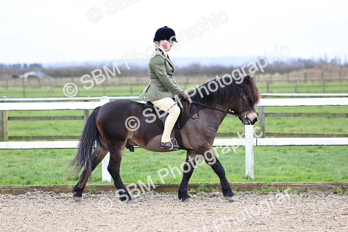 SBM_006731 - Class 29 - 30 - M&M Pure Novice Small-Large Breeds