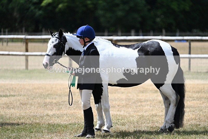 WJ7_1751 - Class 4 Prettiest Mare up to 14.2hh in hand