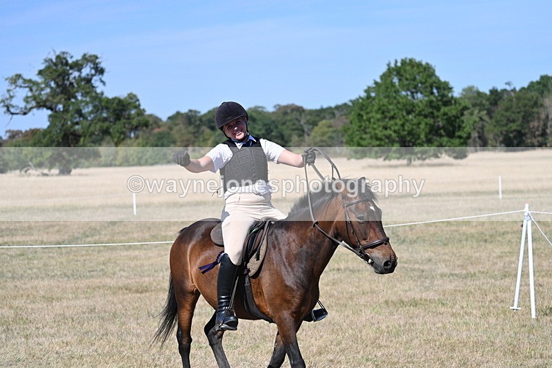 WJ7_1767 - Class 42 Most Handsome Gelding