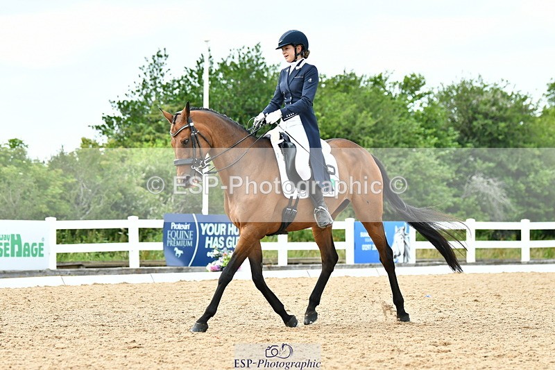 230702A-160752-11111 - Cls 37 + 42 FEI PSG + GP