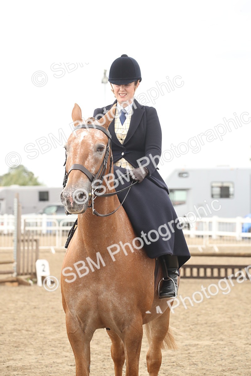 SBM_17650 - Class 508a - Working Veteran 70cm (15-19)