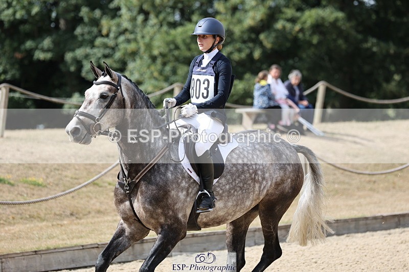 250803A-160410-17300 - R-803-Harriet.Tilling-DAROG'S.DANCER