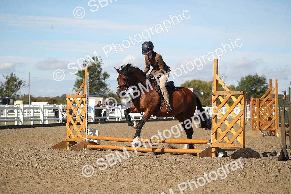 SBM_12725 - Class 504b - Junior Working Veteran - 40cm (20+)