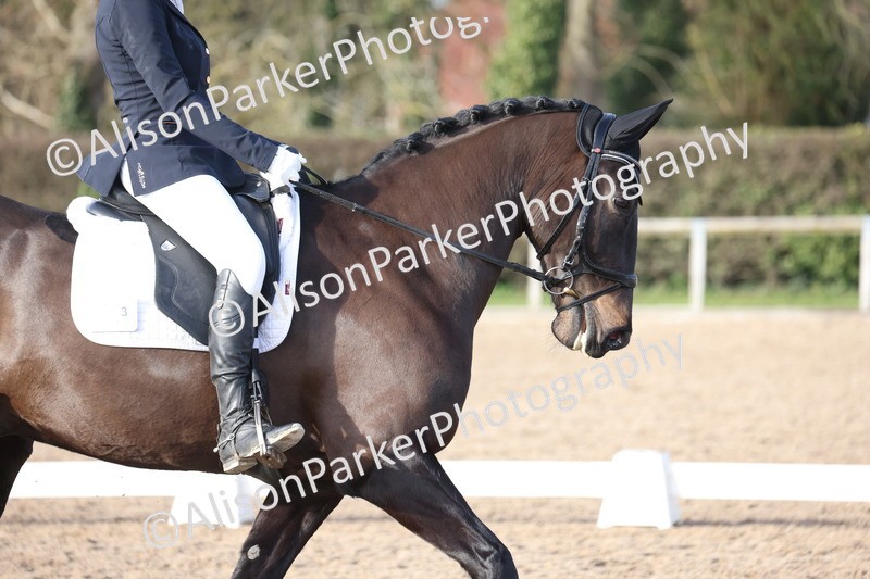 20260214-0780 - Class 6 - Elementary 1