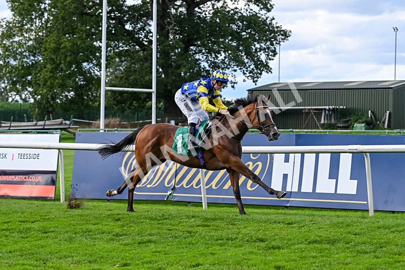 140926-Race 3-Majestic Jude-7084 - Race 3 3.21pm British Stallion Studs EBF Novice Stakes
