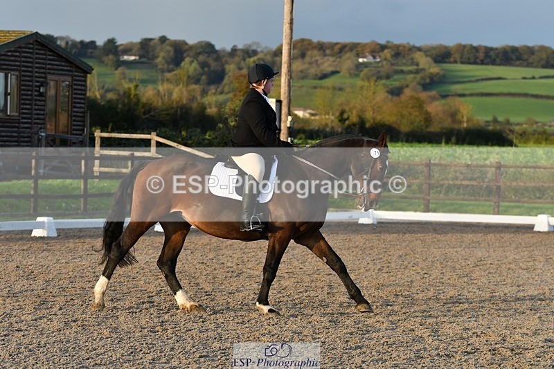 231105-154744-03919 - Cls 4 Novice 24 15.24 to 16.35 break