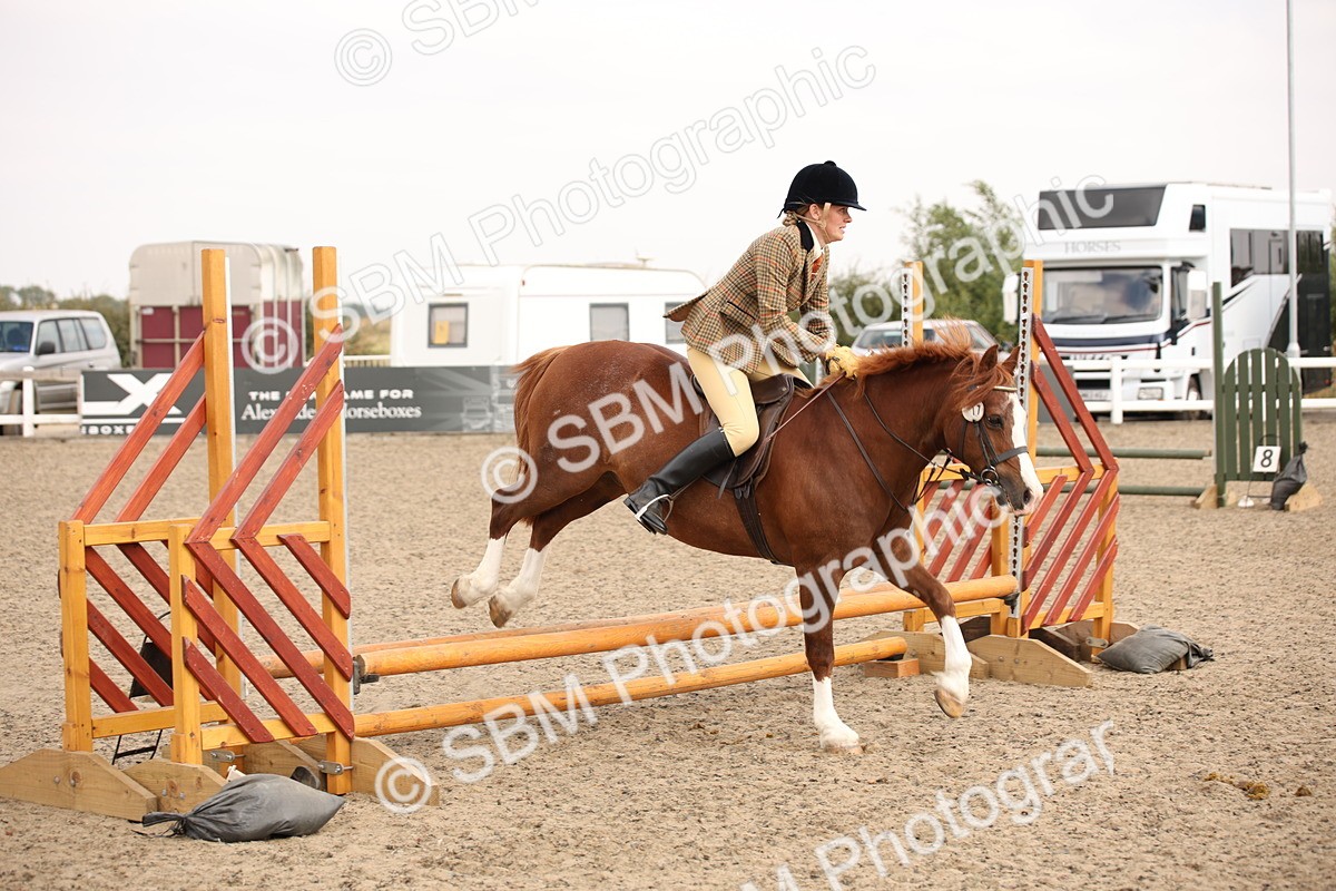 SBM_12266 - Class 405a - M&M Working Veteran 50cm (15-19)