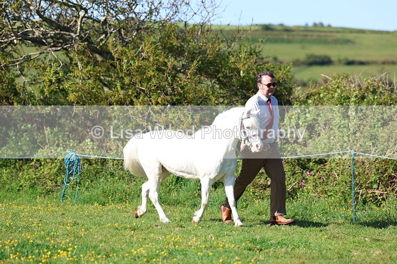 3E7A8355 - Class 12: M & M Small Breeds