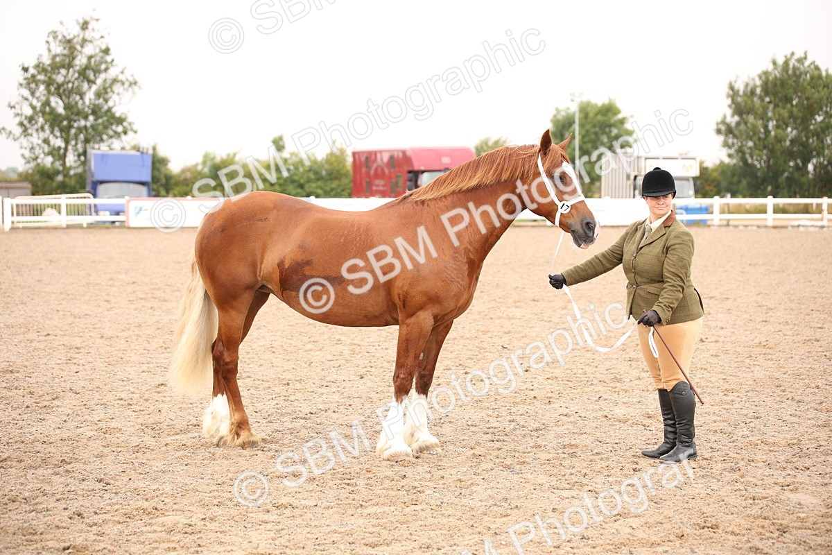 SBM_21471 - Class 706 - IH  Veteran