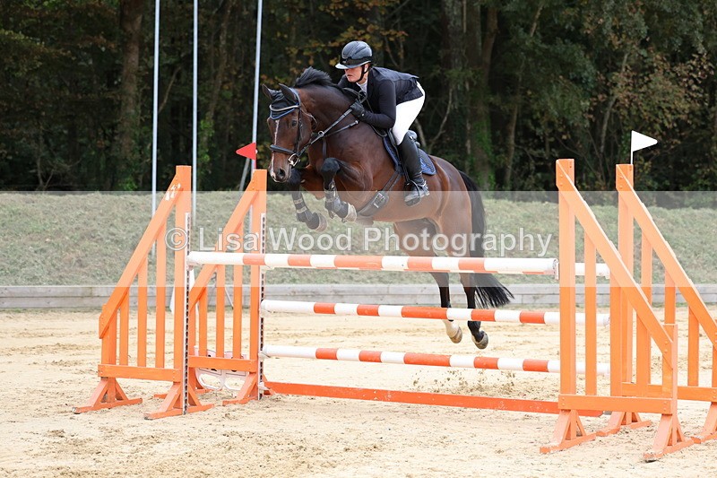 3E7A3386 - Class 9: Senior Foxhunter/1.20 open